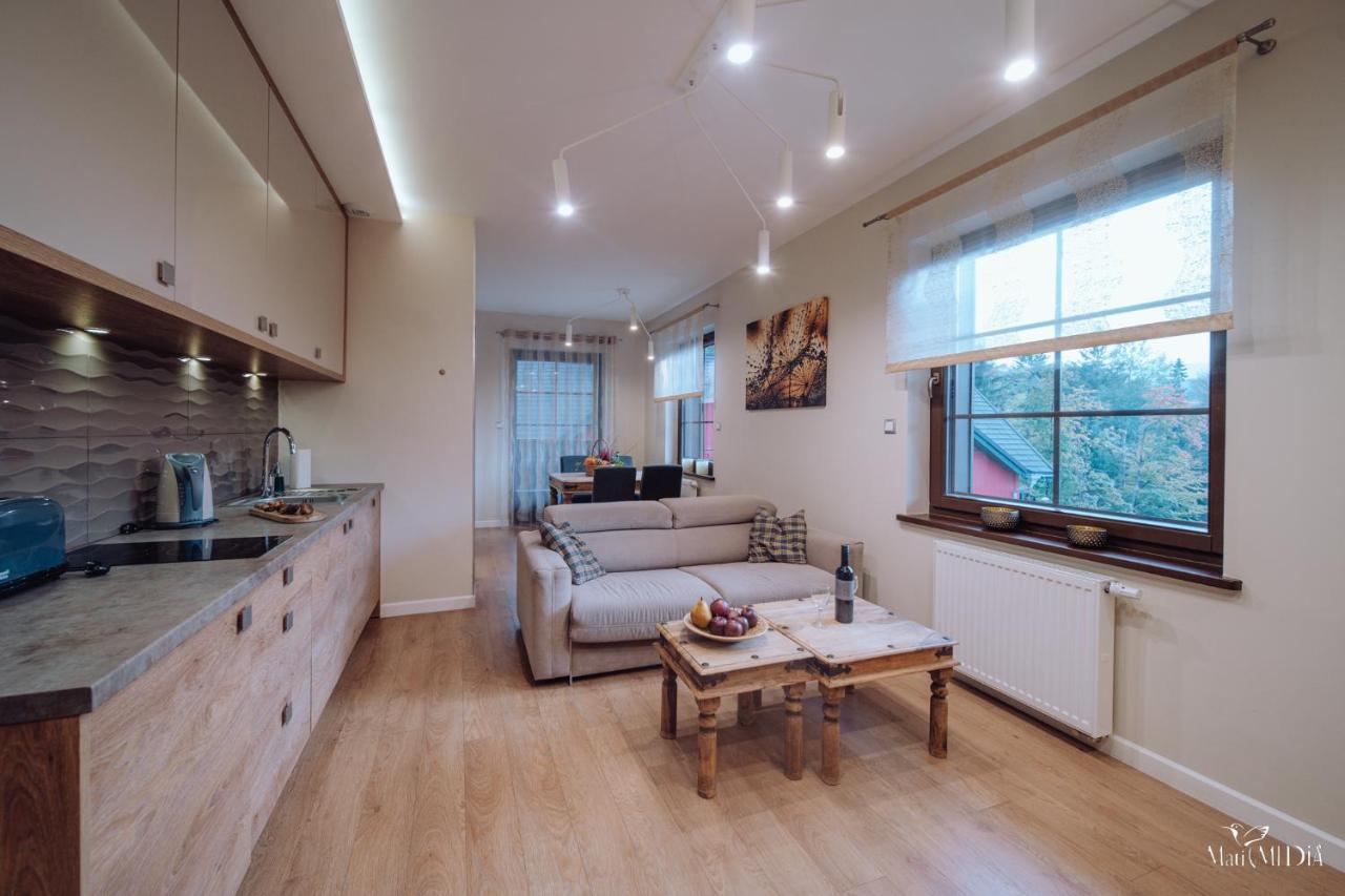 Dolina Wikingow Apartament Oye 13 Шклярска Поремба Екстериор снимка